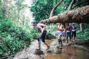 BIB: 
                            <button type="button" onclick="openModal(25373385)" class="btn btn-primary btn-sm float-right btn-popup" data-toggle="modal" data-target=".modal-high-quality">
                        <i class="fas fa-shopping-cart"></i> Add to Cart
                    </button>
                                            <button type="button" onclick="isThisMe(25373385, true)" class="btn btn-success btn-sm float-right btn-popup btn-isme hidden" data-toggle="tooltip" data-placement="bottom" title="นี่คือรูปของคุณใช่ไหม คลิกที่นี่เพื่อเอาเข้าอัลบั้ม">
                        <i class="fas fa-plus"></i> Add to album
                    </button>
                    <button type="button" onclick="isThisMe(25373385, false)" class="btn btn-warning btn-sm float-right btn-popup btn-isnotme hidden">
                        <i class="fas fa-ban"></i> Remove from album
                    </button>